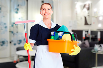 Домогосподарка